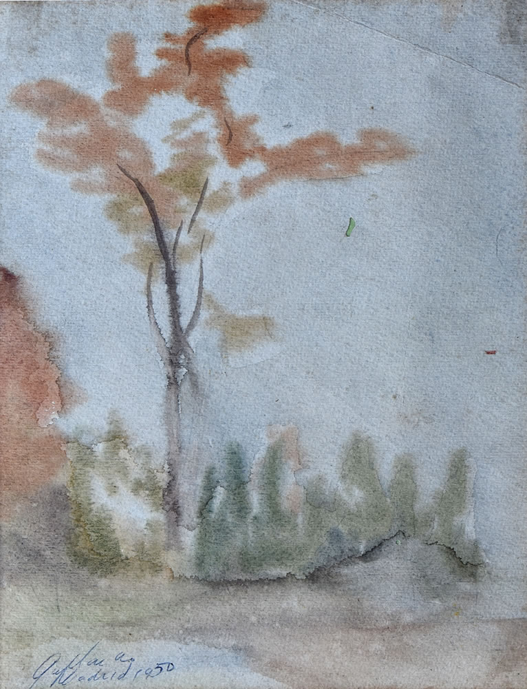 Paisaje