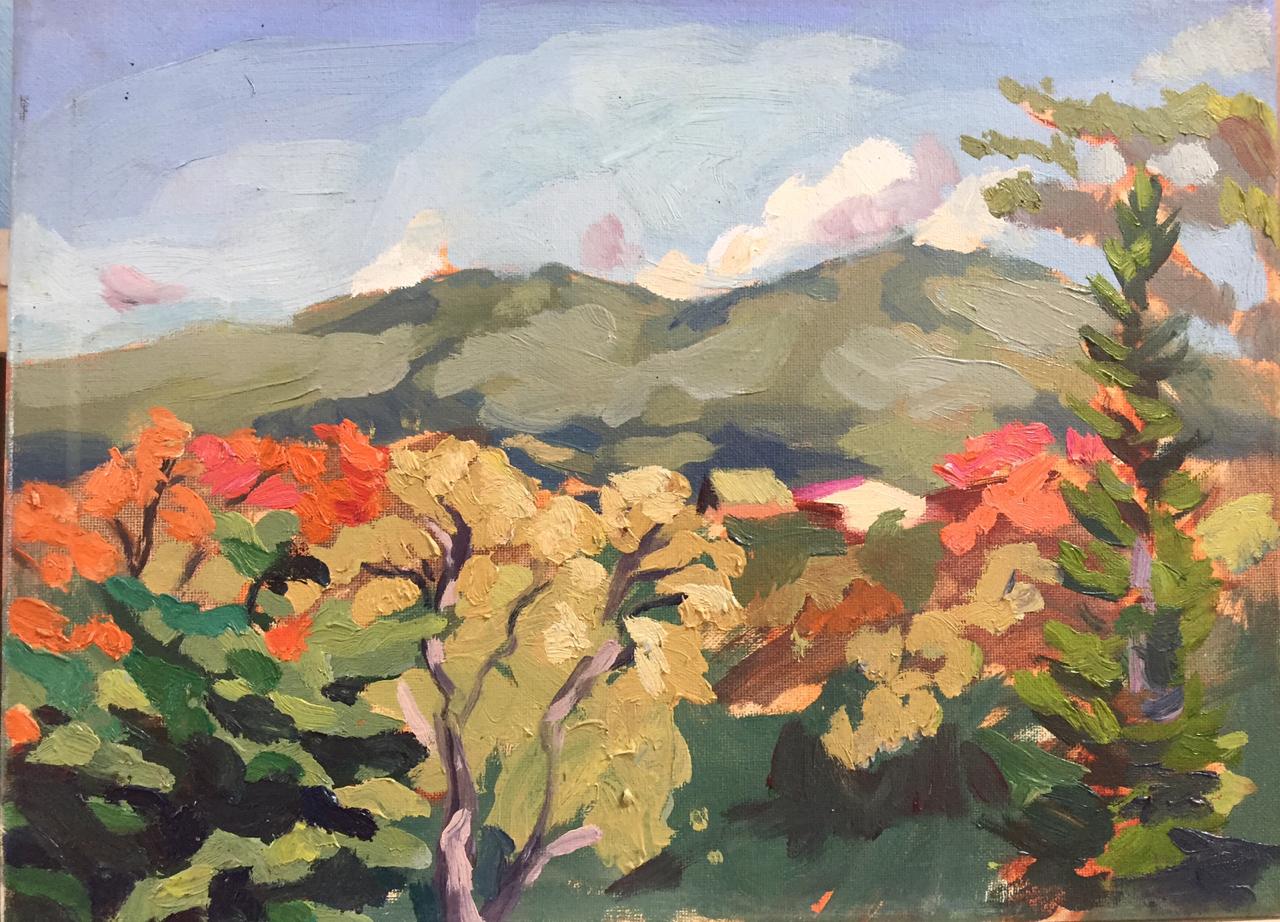 Paisaje